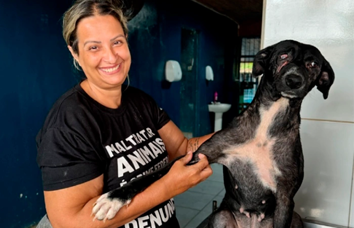 Salve o Cantinho do Amor Pet : Um refúgio para animais abandonados!❤️